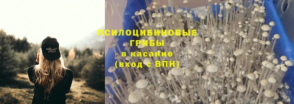 МДПВ Белокуриха