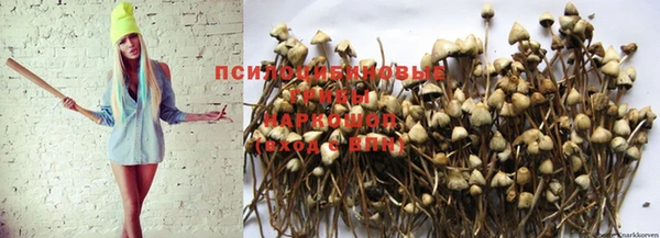 МДПВ Белокуриха