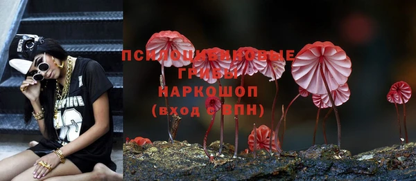 ГАЛЛЮЦИНОГЕННЫЕ ГРИБЫ Богородицк