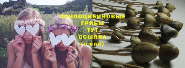 МДПВ Белокуриха