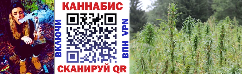 Каннабис планчик  Михайловск 